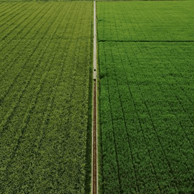 Agricultural Land